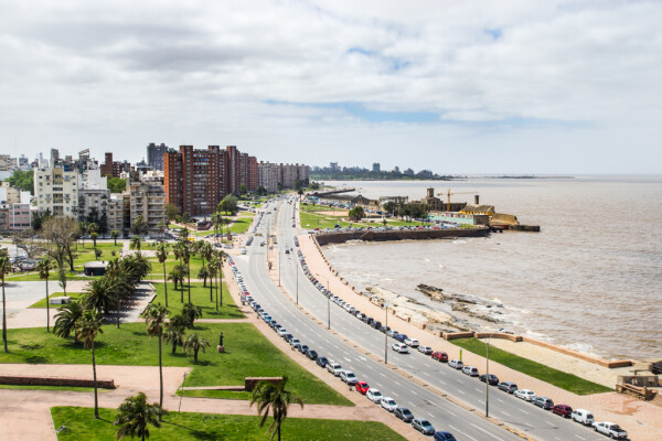 Cuánto cuesta alquilar y comprar en los barrios más buscados de Montevideo