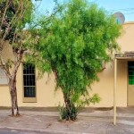 Vendo casa en P. Nuevo